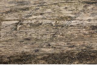 photo texture of wood bare 